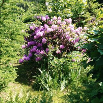 KI das Übel der Gegendwart und Zukunft